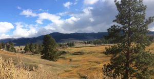 Montana Land for Sale